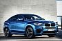 BMW - X6M - Repair Manual Logo